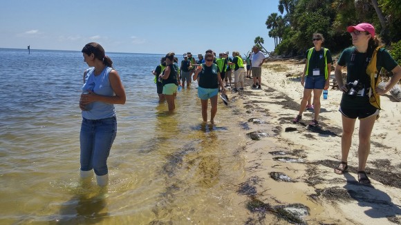 Florida's Female Pioneers - Florida Humanities